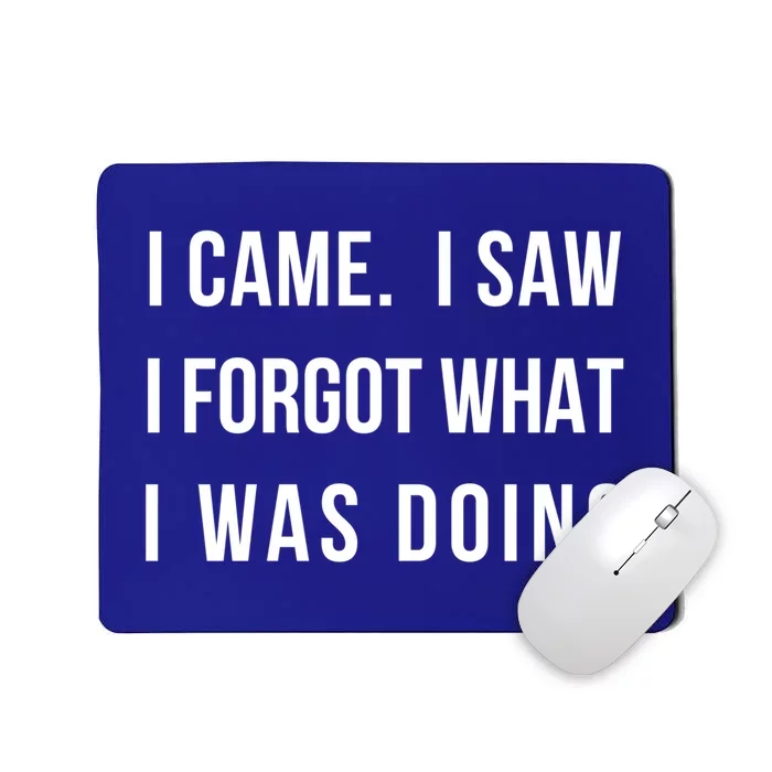 I Came I Saw I Forgot What I Was Doing Sarcastic Tee Gift Mousepad