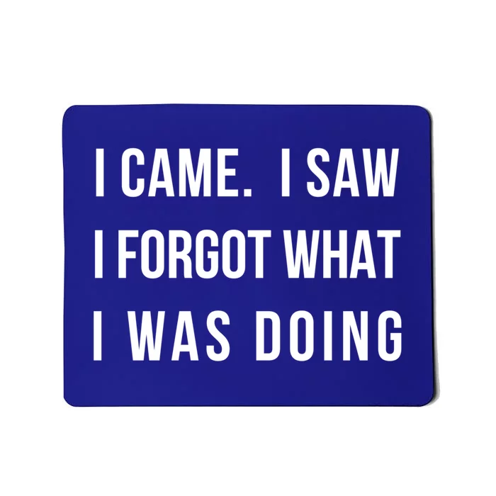 I Came I Saw I Forgot What I Was Doing Sarcastic Tee Gift Mousepad