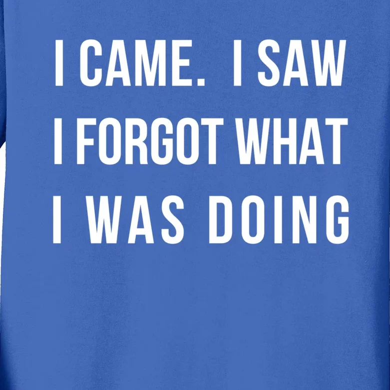 I Came I Saw I Forgot What I Was Doing Sarcastic Tee Gift Kids Long Sleeve Shirt