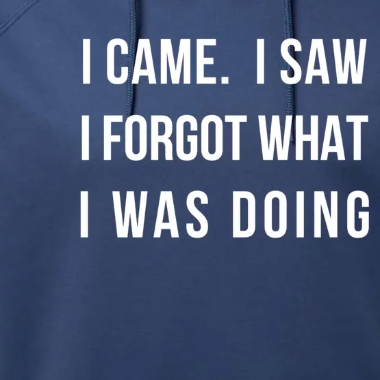 I Came I Saw I Forgot What I Was Doing Sarcastic Tee Gift Performance Fleece Hoodie