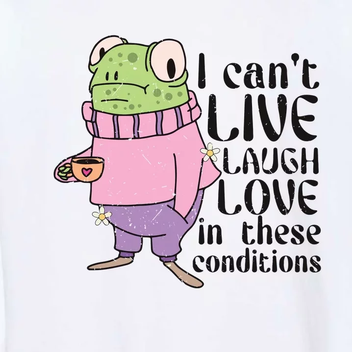 I Cant Live Laugh Love In These Conditions Funny Frog Meme Garment-Dyed Sweatshirt