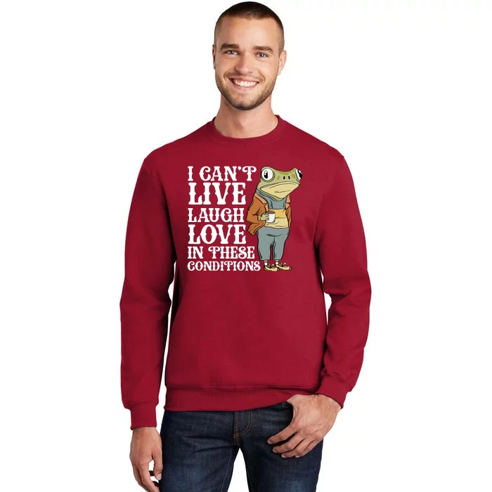 I Cant Live Laugh Love In These Conditions Funny Frog Meme Sweatshirt