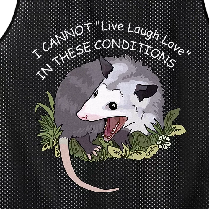 I CANNOT Live Laugh Love IN THESE CONDITIONS Mesh Reversible Basketball Jersey Tank