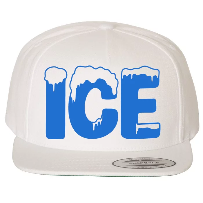 Ice Costume Logo Halloween Wool Snapback Cap