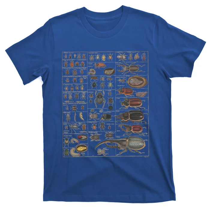 Insects Collection Species Bugs Vintage Chart Entomology Funny Gift T-Shirt