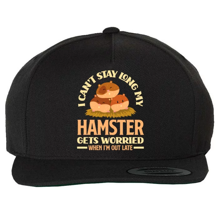 I Can't Stay Long My Hamster Gets Worried Funny Hamster Gift Wool Snapback Cap