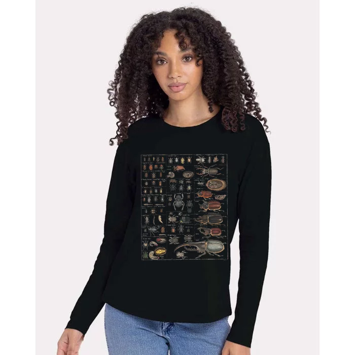 Insect Collection Species Bugs Womens Cotton Relaxed Long Sleeve T-Shirt