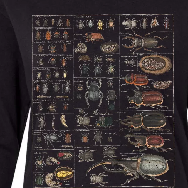 Insect Collection Species Bugs Womens Cotton Relaxed Long Sleeve T-Shirt