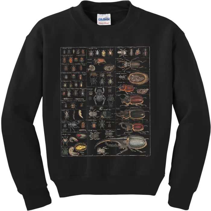 Insect Collection Species Bugs Kids Sweatshirt