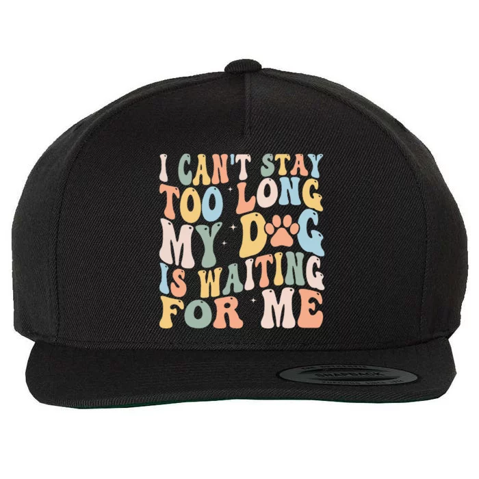 I CanT Stay Too Long My Dog Is Waiting For Me Dog Lover Wool Snapback Cap