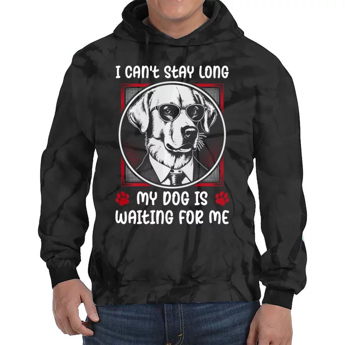 I CanT Stay Long My Dog Is Waiting For Dog Mom And Dog Dad Tie Dye Hoodie