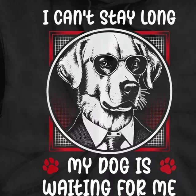 I CanT Stay Long My Dog Is Waiting For Dog Mom And Dog Dad Tie Dye Hoodie