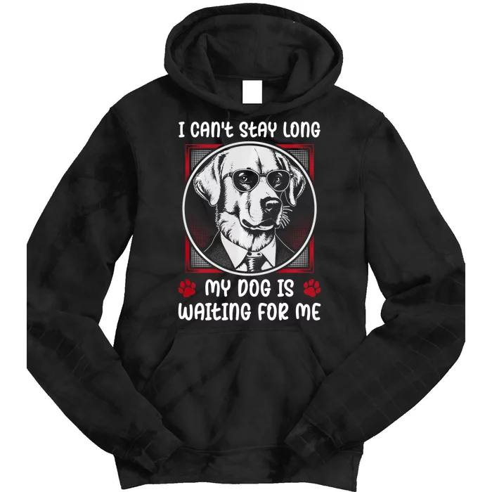 I CanT Stay Long My Dog Is Waiting For Dog Mom And Dog Dad Tie Dye Hoodie