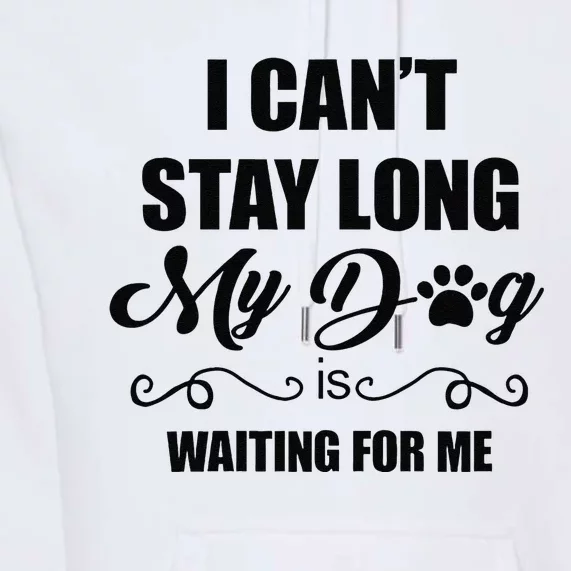 I Cant Stay Long. My Dog Is Waiting For Me Funny Dog Lover Gift Premium Hoodie