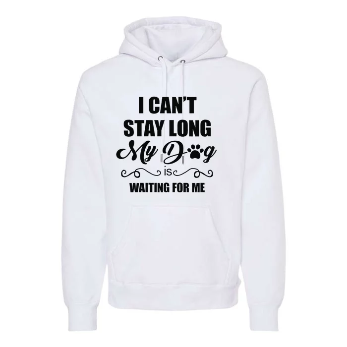 I Cant Stay Long. My Dog Is Waiting For Me Funny Dog Lover Gift Premium Hoodie