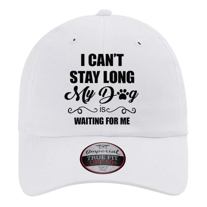 I Cant Stay Long. My Dog Is Waiting For Me Funny Dog Lover Gift The Original Performance Cap