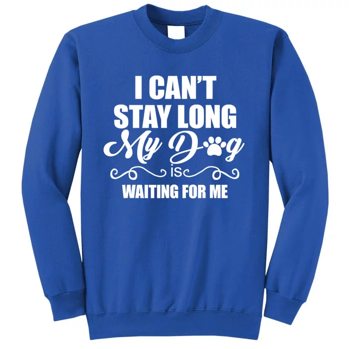 I CanT Stay Long. My Dog Is Waiting For Me Funny Dog Lover Sweatshirt