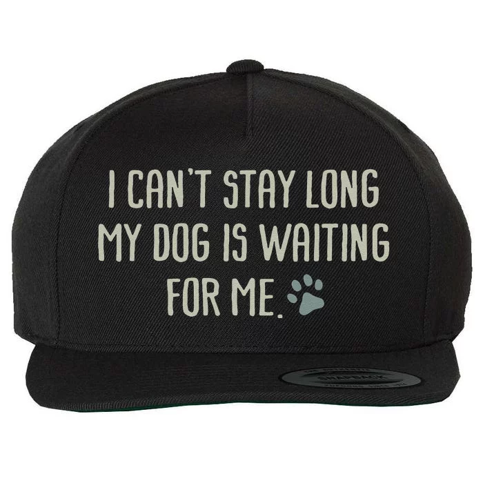 I CanT Stay Long My Dog Is Waiting For Me Mom Dad Dog Owner Wool Snapback Cap