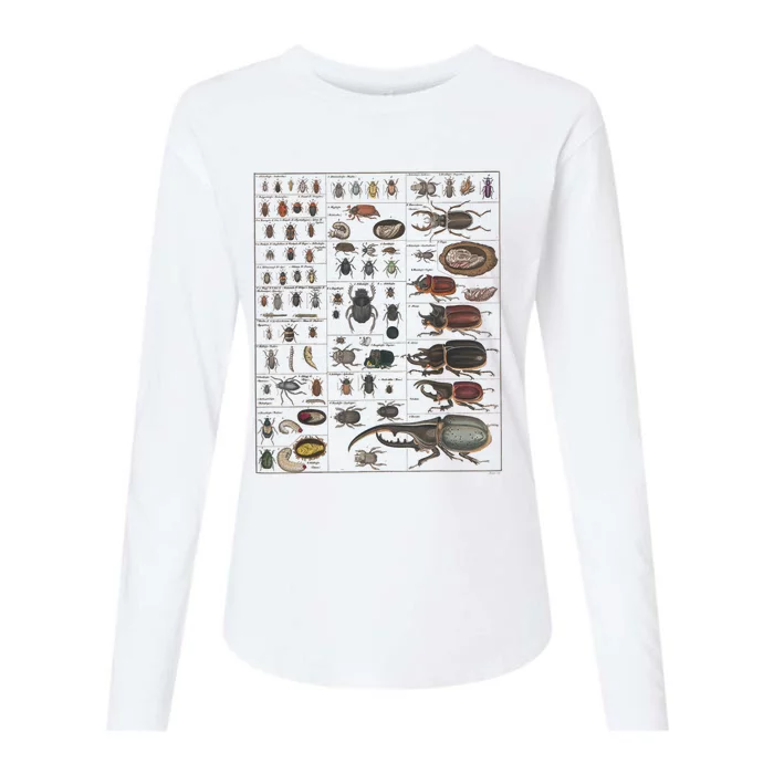 Insects Collection Species Bugs Vintage Chart Entomology Womens Cotton Relaxed Long Sleeve T-Shirt