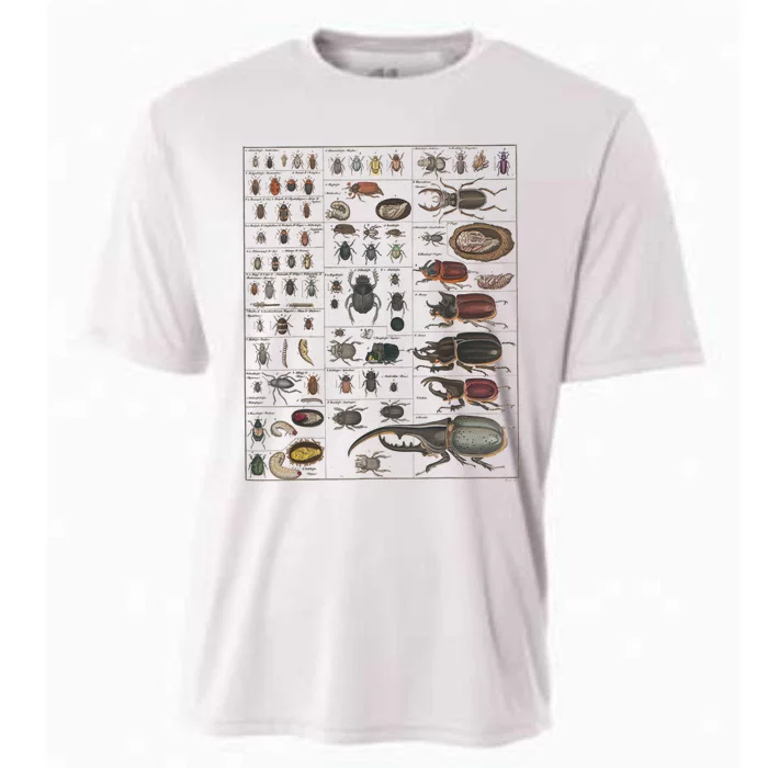 Insects Collection Species Bugs Vintage Chart Entomology Cooling Performance Crew T-Shirt