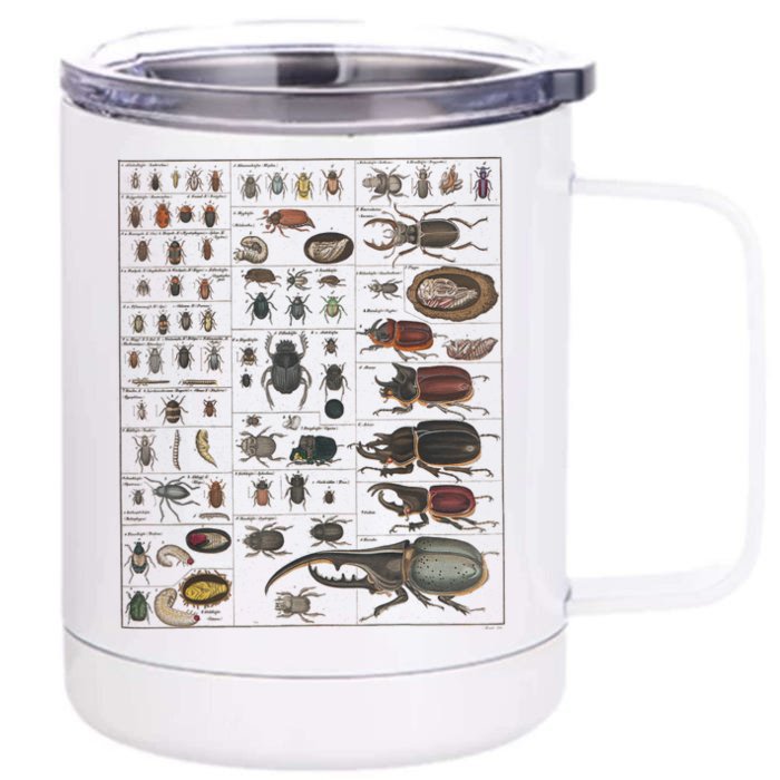 Insects Collection Species Bugs Vintage Chart Entomology Front & Back 12oz Stainless Steel Tumbler Cup