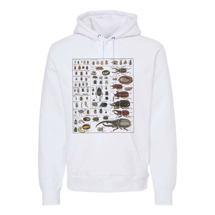 Insects Collection Species Bugs Vintage Chart Entomology Premium Hoodie