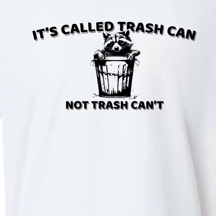 Its Called Trash Can Not Trash Cannot Racoon Sueded Cloud Jersey T-Shirt