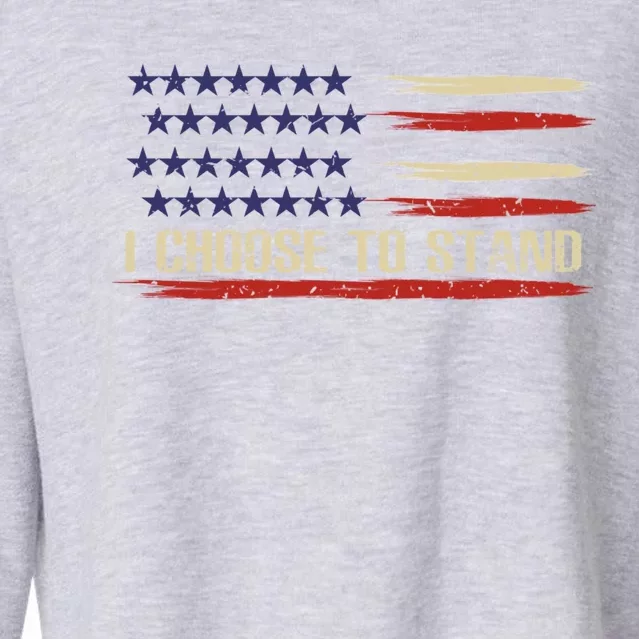 I Choose To Stand Cool Gift Pledge Of Allegiance American Flag Cute Gift Cropped Pullover Crew