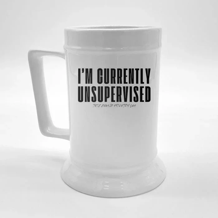 Im Currently Unsupervised This Should Frighten You Front & Back Beer Stein