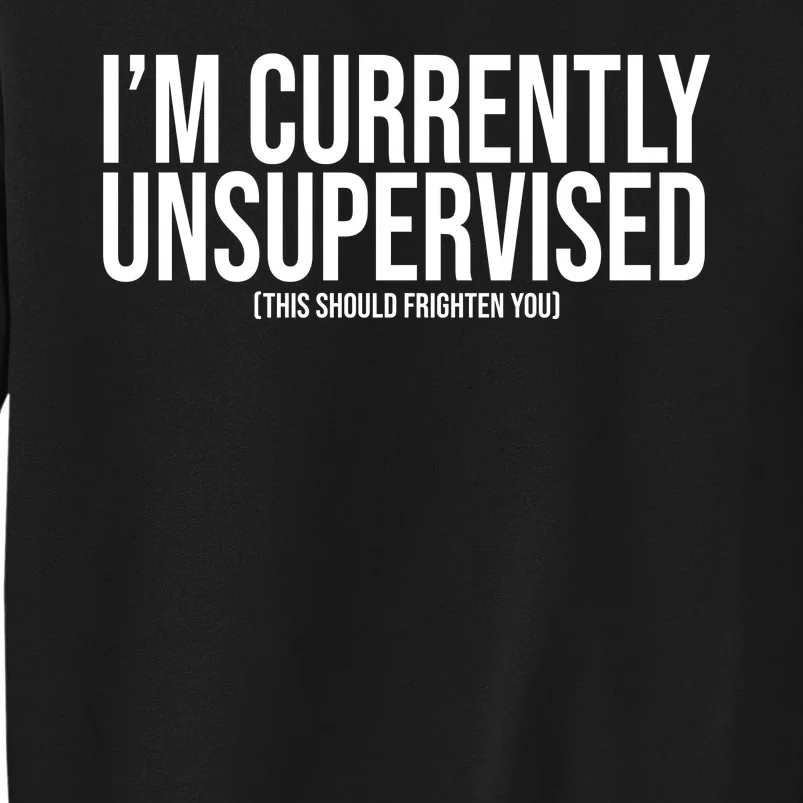 Im Currently Unsupervised This Should Frighten You Funny Sweatshirt