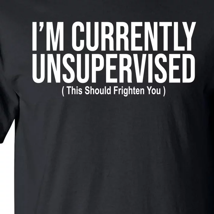 Im Currently Unsupervised This Should Frighten You Funny Tall T-Shirt