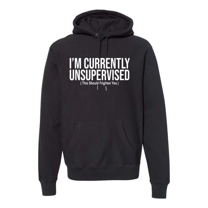 Im Currently Unsupervised This Should Frighten You Funny Premium Hoodie