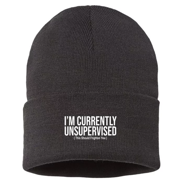 Im Currently Unsupervised This Should Frighten You Funny Sustainable Knit Beanie