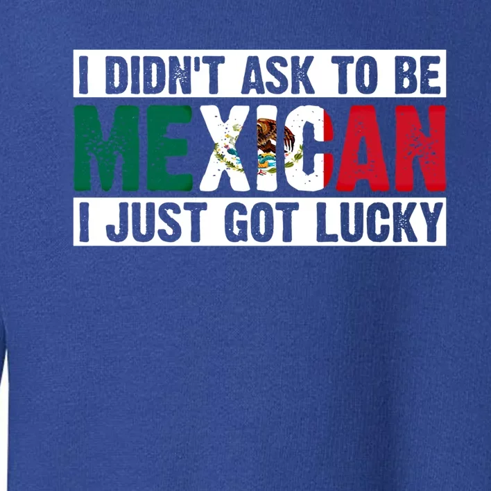 I Didn't Ask To Be Mexican I Just Got Lucky Cool Gift Toddler Sweatshirt