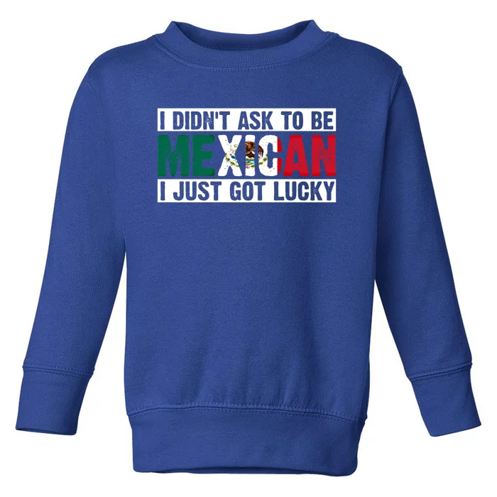 I Didn't Ask To Be Mexican I Just Got Lucky Cool Gift Toddler Sweatshirt