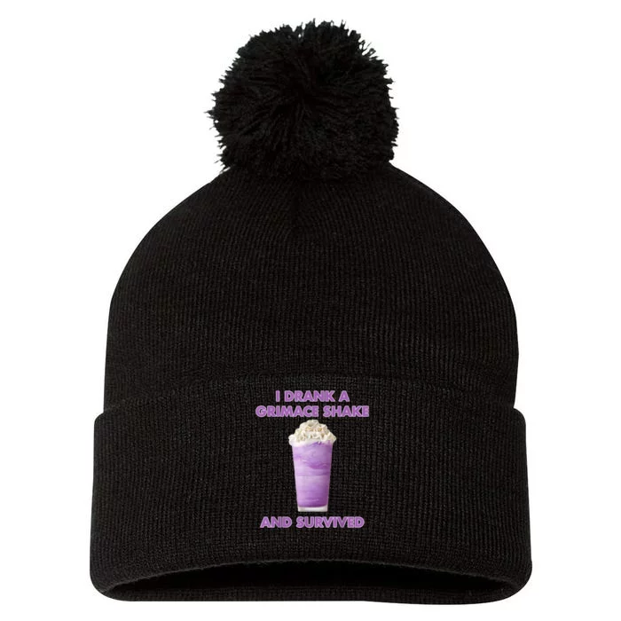 I Drank A Shake And Survived Pom Pom 12in Knit Beanie