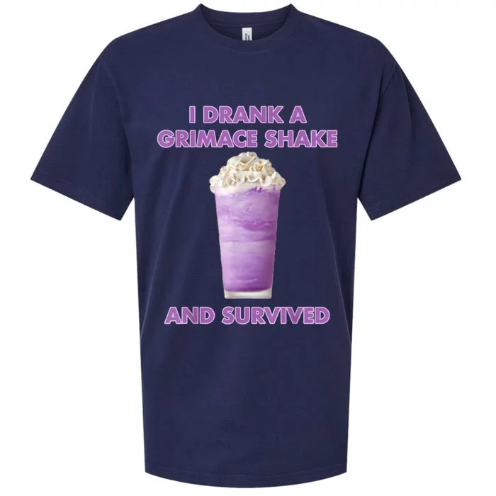 I Drank A Shake And Survived Sueded Cloud Jersey T-Shirt