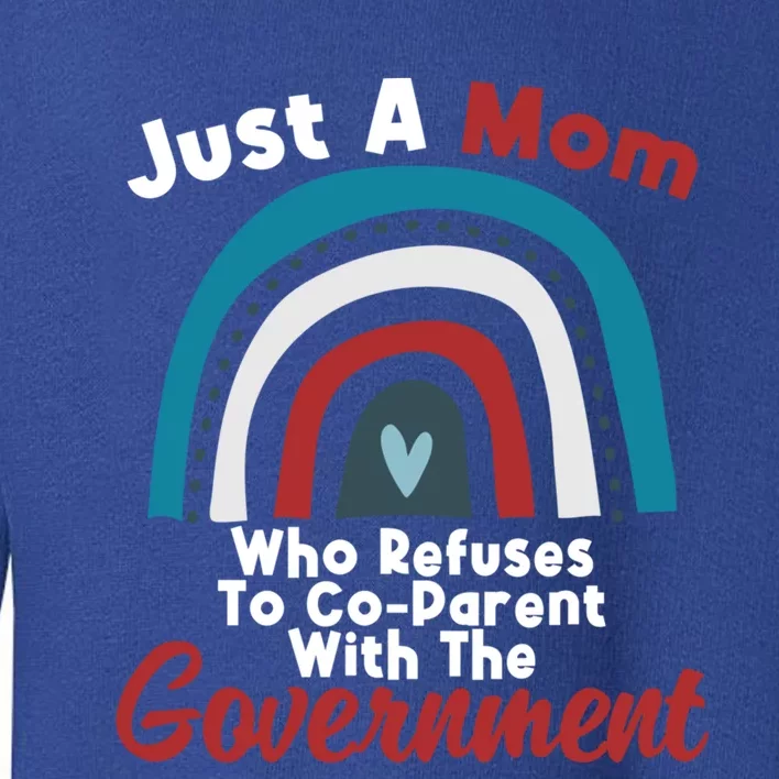 I Don't Coparent With The Governt Respect Freedom Gift Toddler Sweatshirt