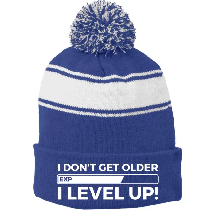 I Dont Get Older I Level Up Gift Funny Birthday Stripe Pom Pom Beanie