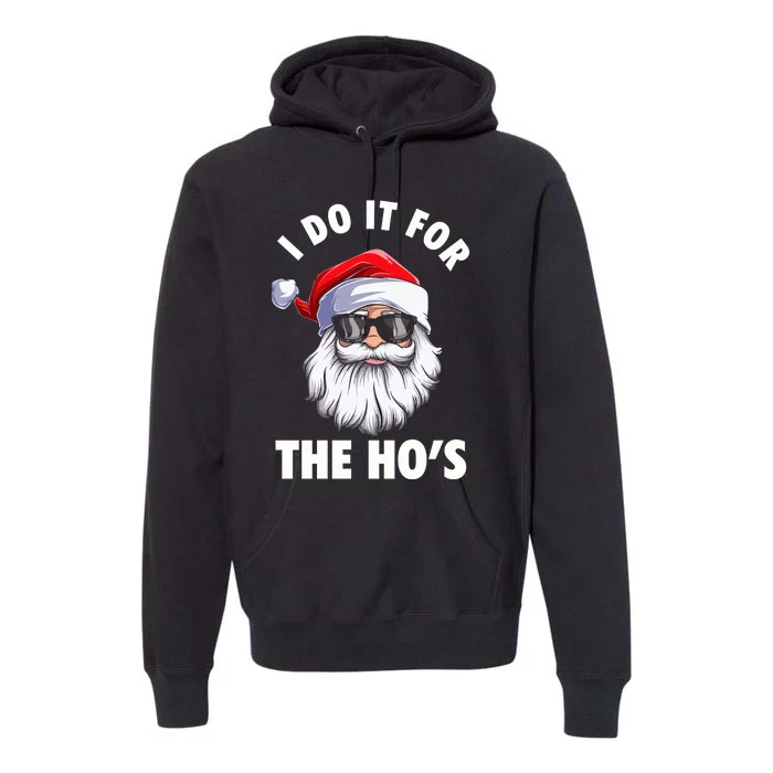 I Do It For The HoS Funny Inappropriate Christmas Premium Hoodie