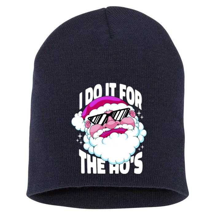 I DO It For The Ho's Funny Santa Claus Short Acrylic Beanie