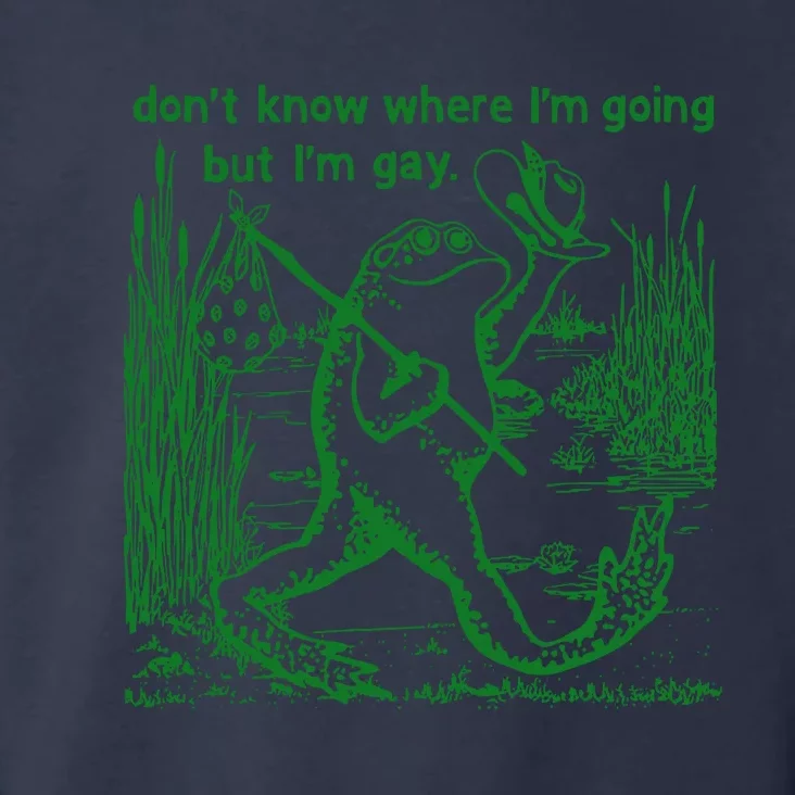 I DonT Know Where IM Going But IM Gay Frog Lgbt Pride Toddler Hoodie