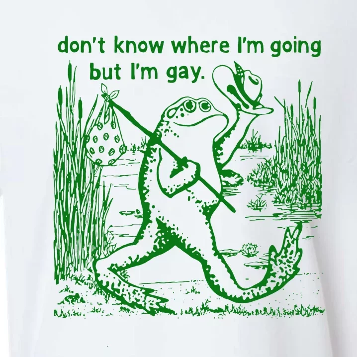 I DonT Know Where IM Going But IM Gay Frog Lgbt Pride Sueded Cloud Jersey T-Shirt