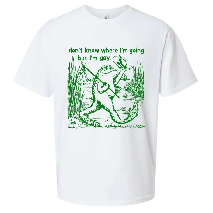 I DonT Know Where IM Going But IM Gay Frog Lgbt Pride Sueded Cloud Jersey T-Shirt