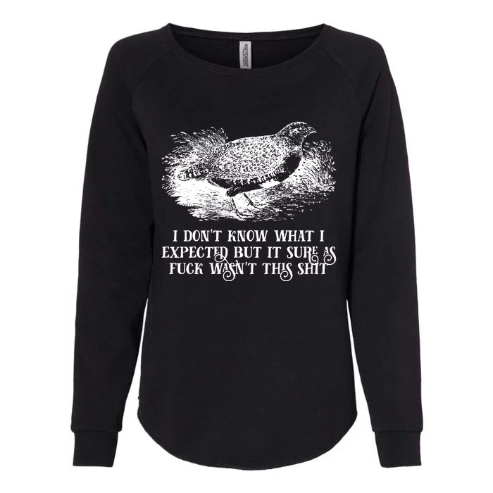 I DonT Know What I Expected But It Sure As Fuck Wasnt This Shit Womens California Wash Sweatshirt