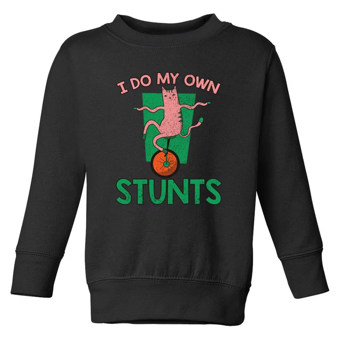 I Do My Own Stunts Funny Cat Gift Toddler Sweatshirt