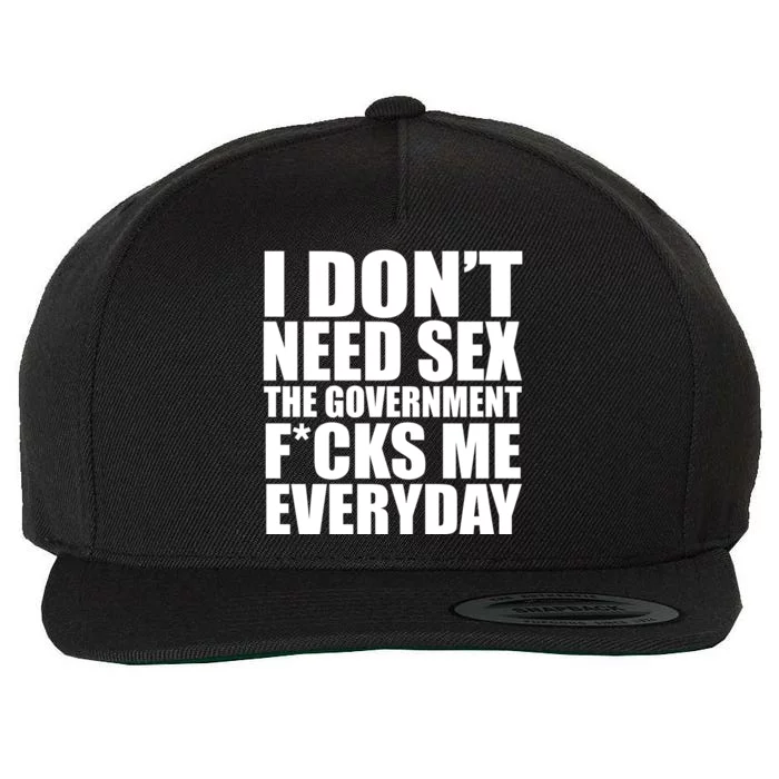 I Dont Need Sex The Goverment Fucks Me Everyday Funny Wool Snapback Cap