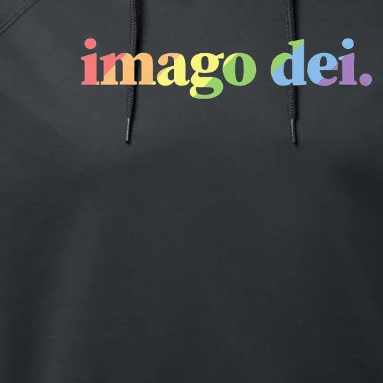 Imago Dei Pride Gods Image Vintage Bold Christian Performance Fleece Hoodie