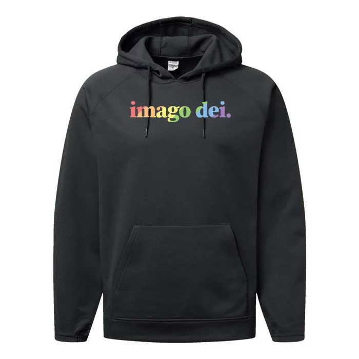 Imago Dei Pride Gods Image Vintage Bold Christian Performance Fleece Hoodie