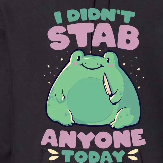 I DIDNT STAB ANYONE TODAY FUNNY CUTE FROG GIFT Premium Hoodie